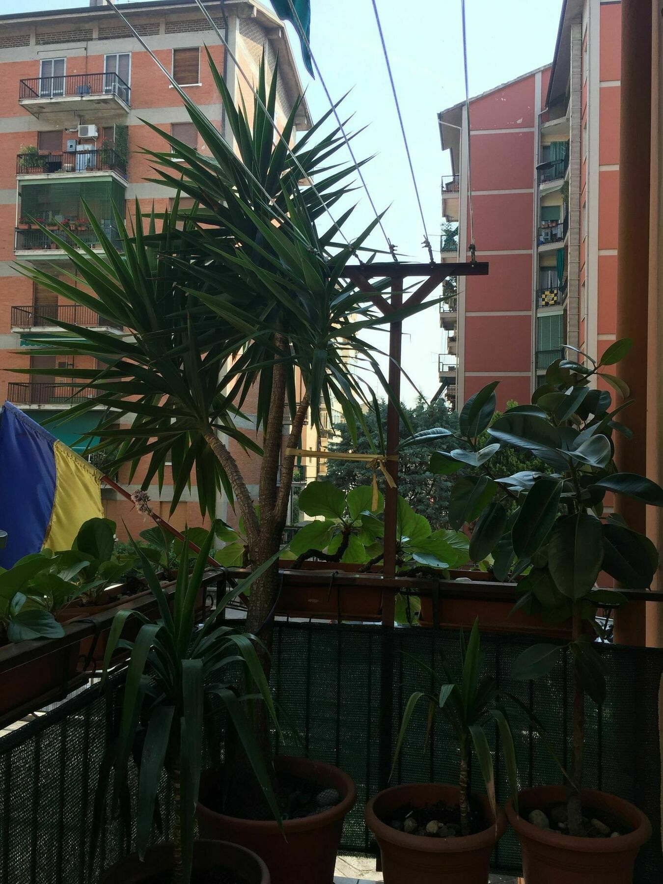 Locazione Turistica Sole Hotel Verona Kültér fotó